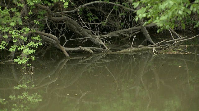 Body of man recovered from Pike Creek near Carthage College in Kenosha