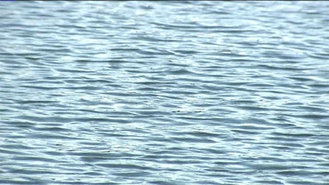 Police: Body of deceased male pulled from Lake Michigan Monday afternoon