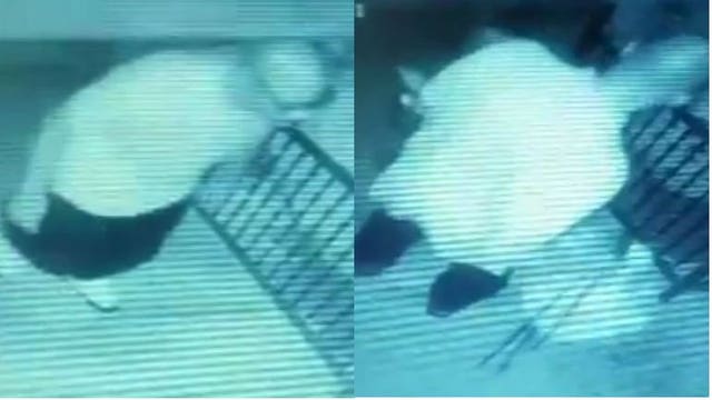 Caught on camera: Woman offers reward for info. leading to arrest of man who stole flower pots