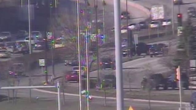 Pig intestines spilled on interstate, slows traffic during evening rush