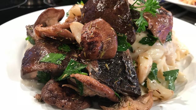 Meatless recipes for Lent: Check out this healthy alternative to your Friday fish fry