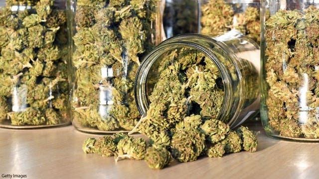 Medical pot on campus: Colleges say no and face lawsuits