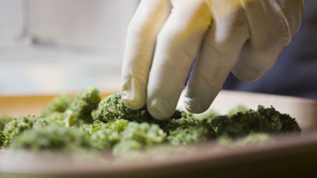 Wisconsin medical marijuana legalization debated at Capitol hearing