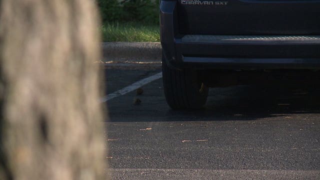 Mississippi man arrested in connection with sexual assault in Elkhorn