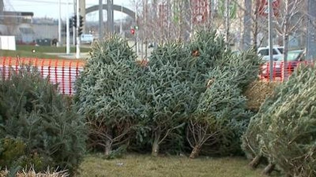 Recycling real Christmas trees: Drop-off locations