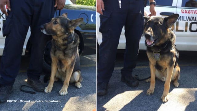 Milwaukee police will be out in force on land and water to keep you safe during US Bank Fireworks