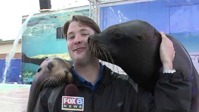 From rides to food to farm animals: A look at all the fun at the Wisconsin State Fair
