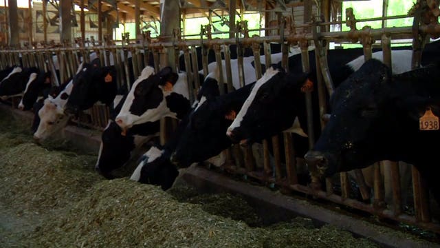 Economists: WI lawmakers need to act fast for coronavirus financial relief