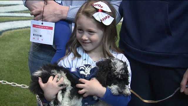 Brewers' Christian Yelich hits HR, seals deal by delivering puppy to 2 young sisters
