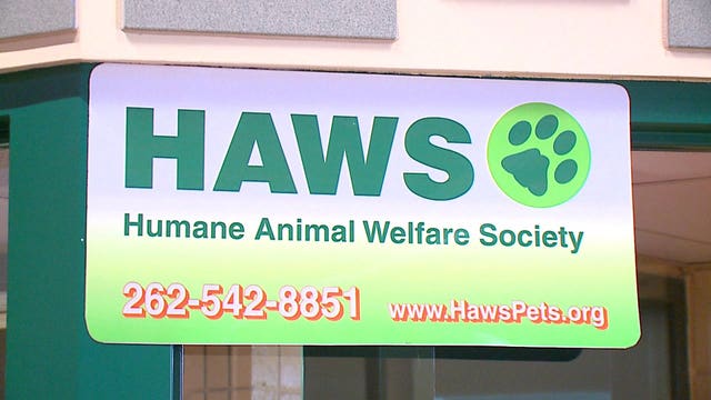 HAWS in Waukesha to receive 15 homeless dogs from Louisiana