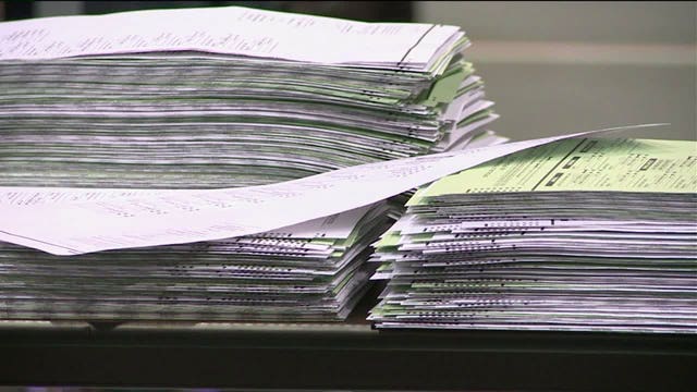 State Green Party leader: Organizers prepared for court if hand recount of votes denied