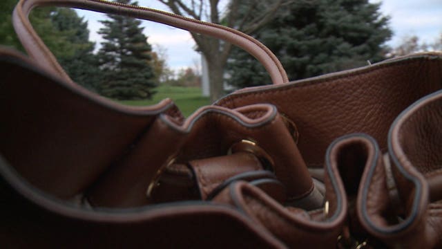 Scare during Trick-or-Treat in West Allis: Mother learns valuable lesson; her purse snatched by crook