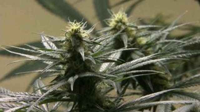 Are American opinions on marijuana reaching tipping point?