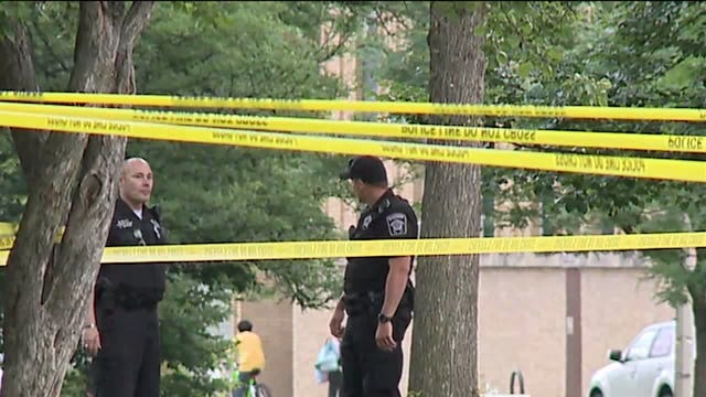 'Tried to resuscitate him:' Man dies after fight in Kosciuszko Park, his 'trach tube' became dislodged