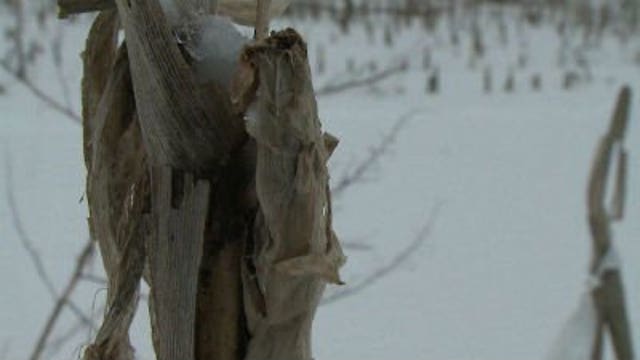 Wet winter is not easing some drought worries