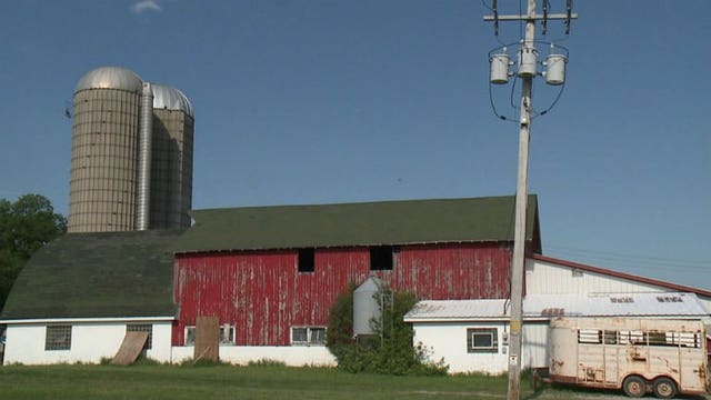 Dozens of dead calves discovered on two Kenosha Co. farms, abuse alleged