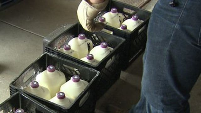 Golden Guernsey milk going to Hunger Task Force
