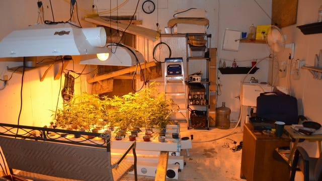 Growing problem: Pot lights give ham radio operators a buzz