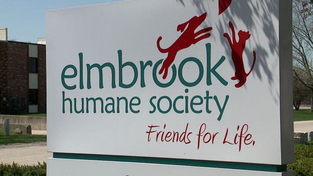 Elmbrook Humane Society launches 'Connecting from the Couch' pet behavior support program
