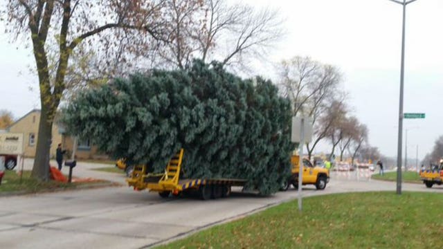 It's that time again! DPW accepting nominations for 103rd City of Milwaukee Christmas Tree!
