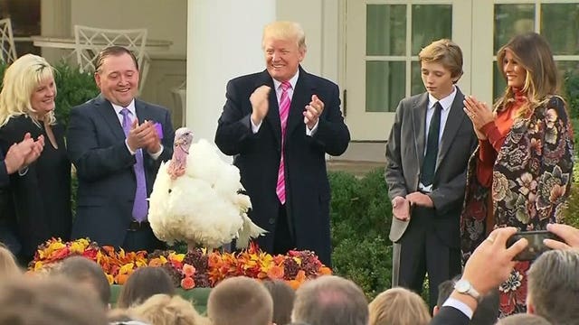 Pres. Trump pardons Thanksgiving turkeys Drumstick and Wishbone 🦃