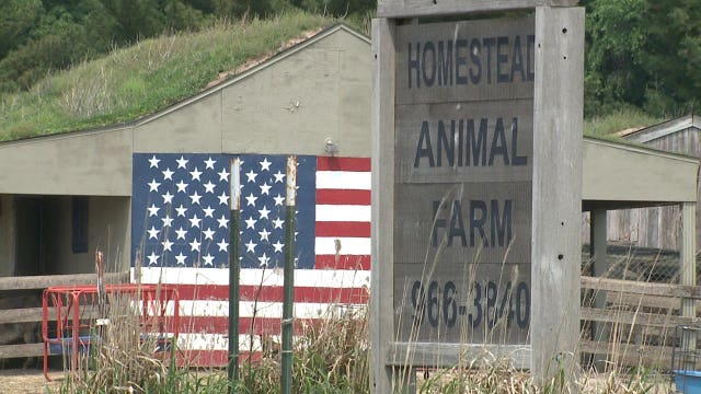 Wisconsin farm groups say Trump administration trade deal won't affect profits