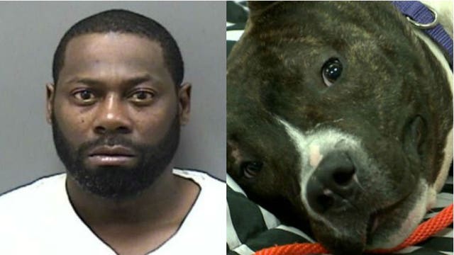 Competency exam ordered for Racine man accused of beating 10-month-old puppy with pipe