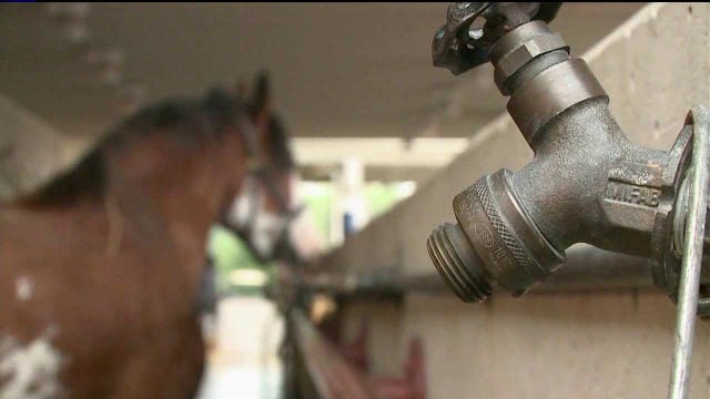 State Fair horses quarantined after horse found sick Saturday
