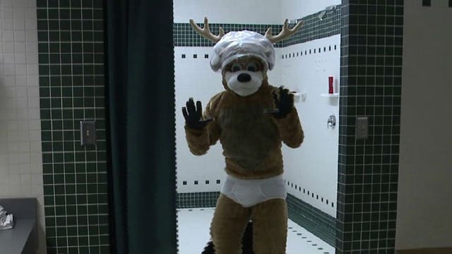 Ever wonder what Bango does when he's not in the spotlight? Chip finds out