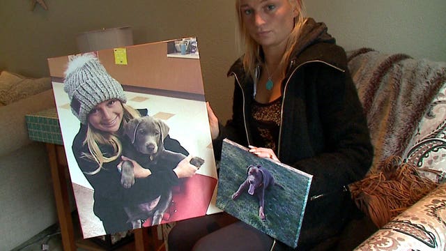 "I hope that they're not hurting them:" Woman worries after her dogs were stolen from her home