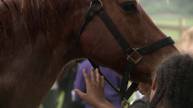 Kenosha kids get a chance to experience life on a farm