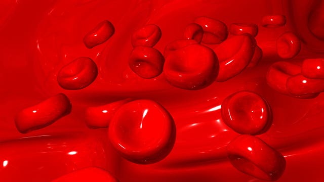 Study finds COVID-19 attacks lining of blood vessels in lungs, causes microscopic blood clots