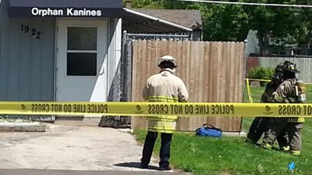 Animals seized: 3 properties searched after "deplorable" conditions found in Caledonia shelter