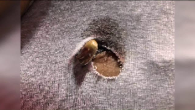 Bullet found lodged in woman's bra strap after deadly Brooklyn park shooting