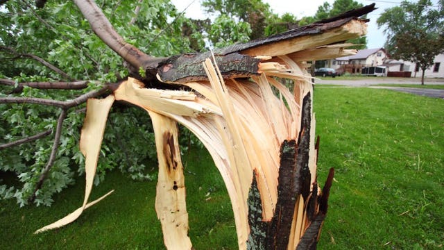 "Debris all over the place:" 911 calls released after EF-1 tornado in Village of Brandon