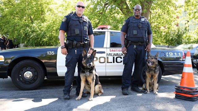 Milwaukee Police Department shows off their K-9 partners on National Dog Day