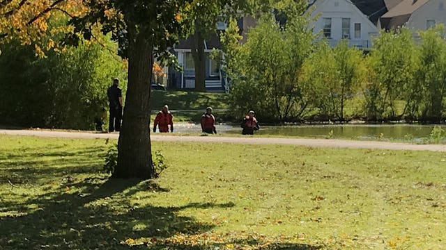 Developing: MFD dive crews called out to pond near Kosciuszko Park