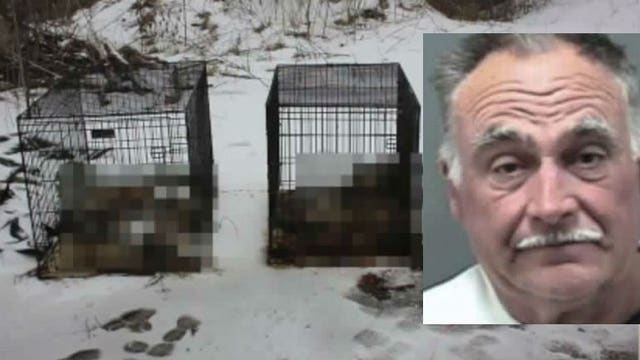 Man faces 14 charges after cats found stuffed in kennels outside foreclosed home in Caledonia