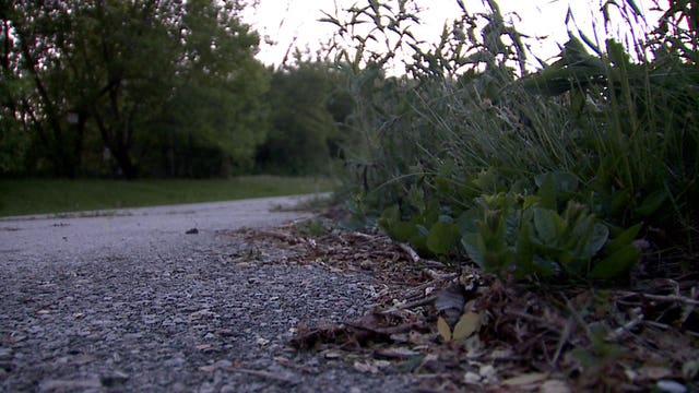 Investigation underway after body found in 700 block of E. Capitol Drive, foul play not suspected