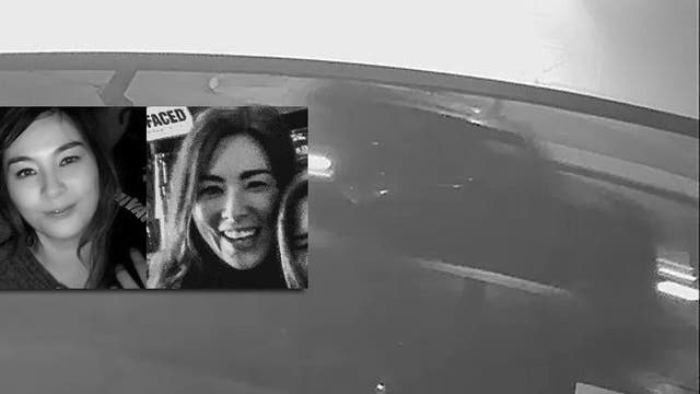 'I'm sorry I couldn't do more:' Driver sought after woman killed in hit-and-run while walking dogs