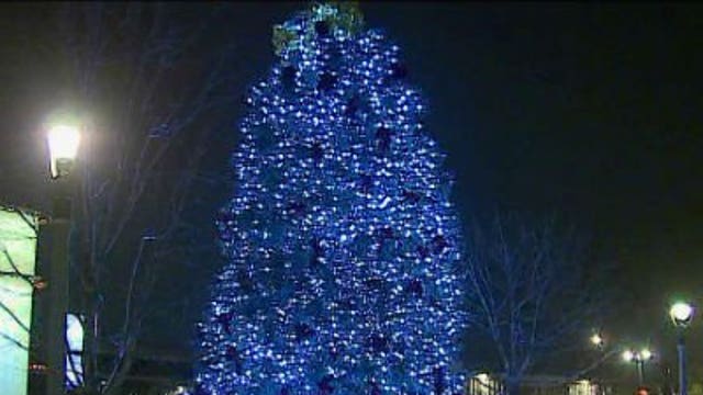 Milwaukee City/County Christmas tree glowing in Red Arrow Park