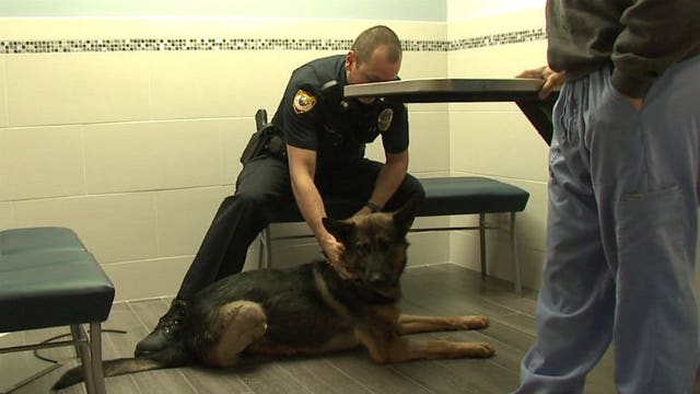 A close call for K9 officer in West Allis