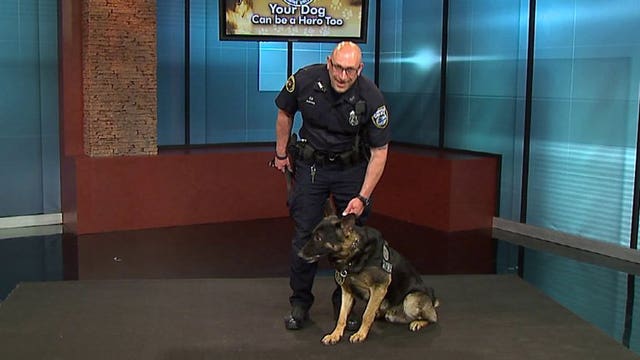 Your dogs can help the Milwaukee Police Department K9 unit