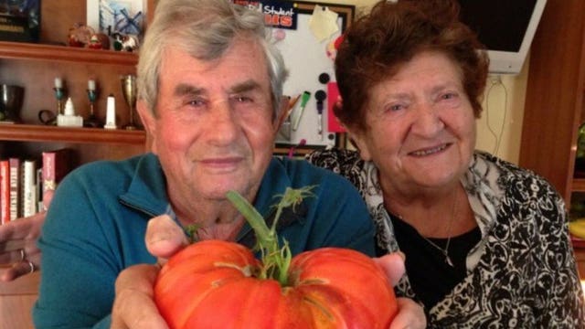 'Family was everything:' Illinois couple died hours apart after COVID-19 diagnoses