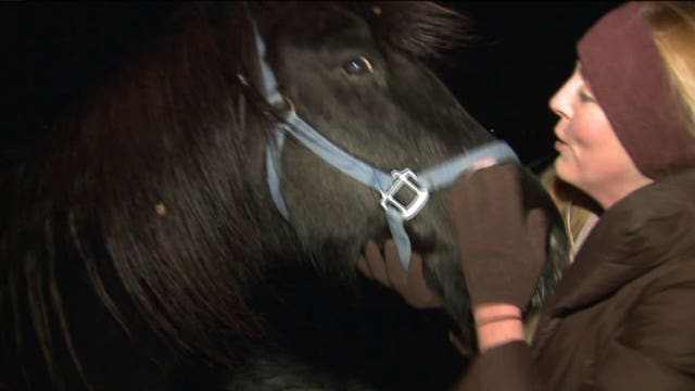 DISMISSED: Court throws out two restraining orders filed over horses in the cold in Kenosha County