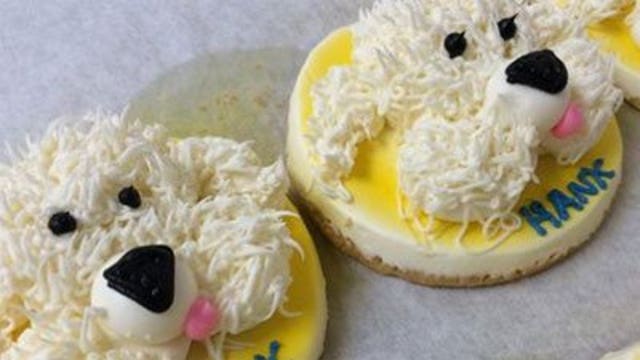 Hundreds of Brewers Hank cookies sell in matter of hours