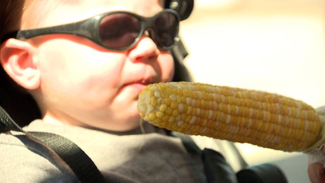 It's a Wisconsin State Fair favorite: New Berlin Lions Club celebrates 60 years of roasted corn