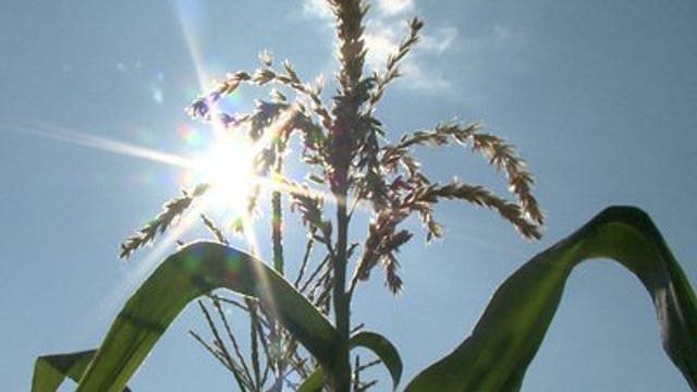 Gov. Walker to tour drought-stricken parts of Wisconsin