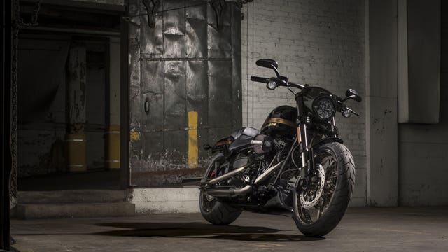 Ready to ride: Harley-Davidson pulls the wraps off two new bikes for 2016