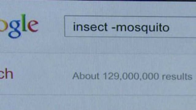 Search Smarter on the Web